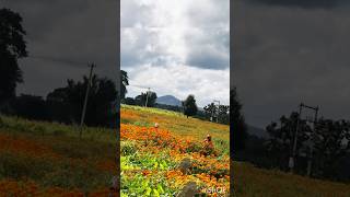 #colleagues #unplannedadventure #bestmoments #travel #karnataka #nature #flowers #hillstation #love