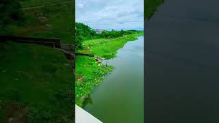 ভৈরব নদী [Meherpur - মেহেরপুর ] Samrat Khan 🎯🎯meherpur #shorts #shortvideo #viral #viralshorts #fyp