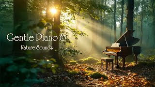 Gentle Piano & Nature Sounds | Relaxing and Peaceful Music for Stress Relief and Calm