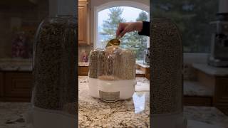 How do you store your lentils ? #shortsvideo #restock #kitchentips #kitchenorganizationideas #home