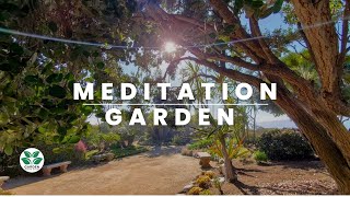 Breathtaking Ocean Views & Serenity: Self-Realization Fellowship Garden Encinitas California