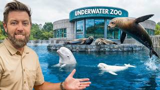 Private Tour Of America's Best Marine Animal Facility