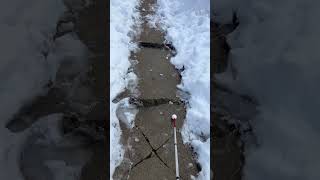 How different cane 🦯 tips work…part 1 #blind #visuallyimpaired #whitecane #orientationandmobility