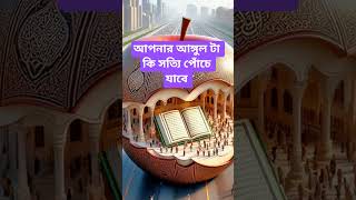 সত্যি কি আপনার আঙ্গুল টা পচে যাবে#islamicstatus #shortsvideo #alhamdulillah #কুরআন#islamic