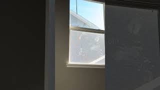 Was my home attacked by zombies? #deepcleaningmotivation #cleantok