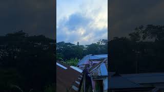 মেঘ গুলো দেখতে মনে হচ্ছে সন্ধ্যা হবার সাথে সাথে তারাও যেনো বাড়ি ফিরছে #nature #villagenature #viral