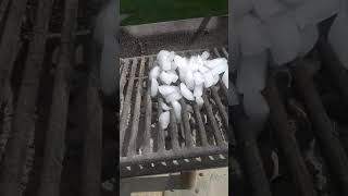 Grilled ice. The cubes were marinated in water.