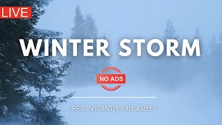 🔴 Snow Storm in Forest | NO ADS | Winter Storm & Howling Wind Sounds For Sleeping