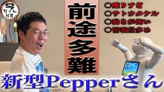 前途多難な新型Pepperさん