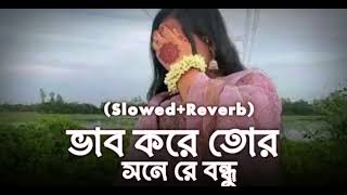 ভাব কইরা তোর সনে রে বন্ধু _ Vab Koira Tor Sonere Bondhu _  Slowed Reverb _ Lofi Music _ Viral Song