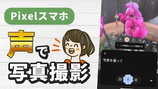 Pixelスマホで声で写真を撮る方法！手が塞がっていても無理なく簡単撮影