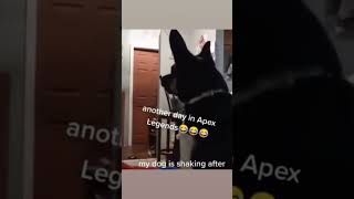 🐕🤣 #apaxlegens #thefinals #videogaming