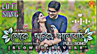 Toke Onek Bhalobashi | Lofi song | তোকে অনেক ভালোবাসি |[slowed reverb ]I New Bangla song 2025 | ULD