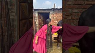 আল্লাহ তোমার এবং আমাদের সকলের কুরবানি কবুল করুন।#kurbani #shorts #cows #eiduladha2025 #ourtinyworld