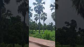 #saiyaara #saiyarasong #bollywoodsongs #youtubeshorts #beautifulview #sikndra #akbarkikahani