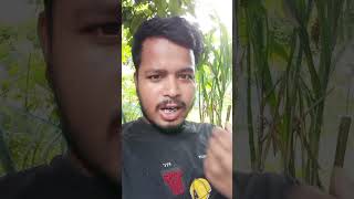 এখনের প্রেম ওয়ান টাইম টিস্যুর মতন