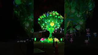Tree of light #flowers #creative #creator #nature #naturelovers #natural