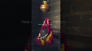 Shiva ❤️ #shiv #shiva #shivshankar #shivshakti #shivji #bholenath #bhole #bhola #shivsena #bhakti