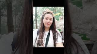 #bengalsafari #dayout #siliguritimes