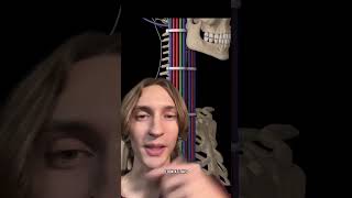 I fix with wire cables management #bodyveins #veinsmanagament