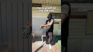 Let him cook! #furnitureflipping #furnituremakeover #furniture #furnitureflipper #furniturefinds