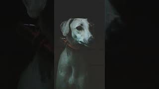 Aggressive Girl 🥵