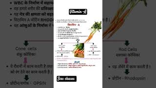 Know all about vitamin A| जानना विटामिन ए का हमारे शरीर में फ़ायदा