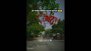 এই গানটার ইতিহাস অনেক ভয়ংকর 😥😕