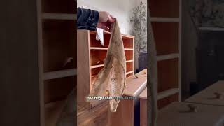 Make your own designer piece 🤗🤩 #furniture #furnitureflip #makeover