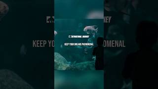 KEEP YOUR DREAMS BIG - Motivational Speech #motivational #motivation #shorts