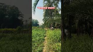 আল্লাহর রহমত #islamicstatus #islam #islamicvideo #bangladesh
