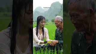 #village #shorts #viralshorts #asmr #raindays #morningvibes #nature #nature