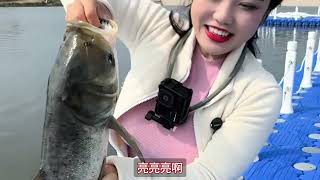 降温也挡不住鱼口！山东浅水区的鲢鳙密密麻麻，女钓手连杆爆护到手软，网友：这画面太炸裂了！🔥 #钓鱼人就是这么疯狂 #钓鱼的乐趣只有钓鱼人懂
