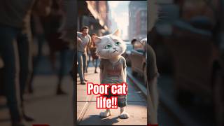 Poor CAT Life The Surprising Truth About Feline Living  😻  #cat #catlover #shorts #shortvideo #funny