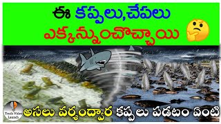 వర్షంలో కప్పలు, చేపలు పడతాయా | frogs and fishes raining from the sky in telugu | Truth Video Launch