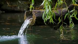 Relaxing music good for health p1