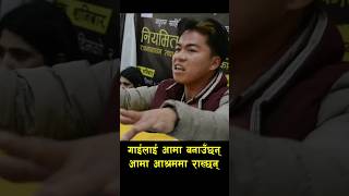 गाईलाई आमा बनाउँछन् आमा आश्रममा राख्छन् #muktak #shorts #shortvideo