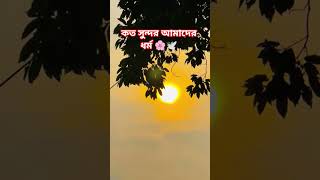 কত সুন্দর আমাদের ধর্ম 🌸🕊️ #lifeisbutadream #bangladesh #islam #islamic #islamicstatus #islam
