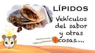 Lípidos | Vehículos del sabor