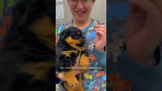 I took my puppy to the vet for the first time…#dog #funny #vet