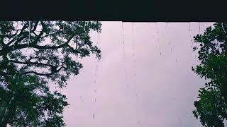 #Rabindrosongeet Majhe majhe tobo Dekha Pai keno video by Mohona