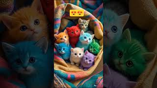 cute cat😺#cute #ytshorts #cutebaby #edit #viralshort #viralvideo #funny #freefire