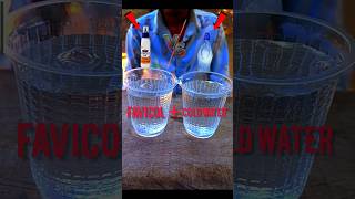 🔥Favicol vs 🫧Cold water  favicol vs col and  normal water easy experiment #shorts #experiment