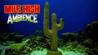Mile High - James Blake (feat. Travis Scott), but it's Underwater Ambience from Donkey Kong Country