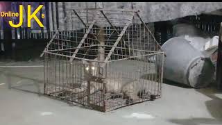 মুরগি চোর / গাবড়া ধরার ফাটক না দেখলে দেখুন এই ভিডিও