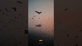 New Love What's app status ✨||#viral ||#trending #whatsappstatus ✨🦋🤗🤞💫