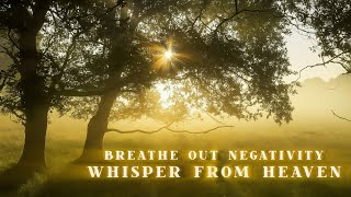 Whisper from Heaven Forest Sounds | 10 Minutes Deep Sleep | Manifest Whatever You Want | BREATHE 
