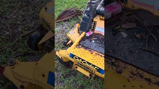 さあフランク!!