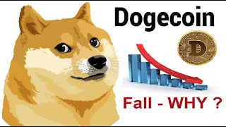 Doge coin falling in coming days - WHY ?