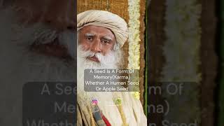 Seed is a form of memory whether, a apple seed or the seed of your mother & father - It's All Karma